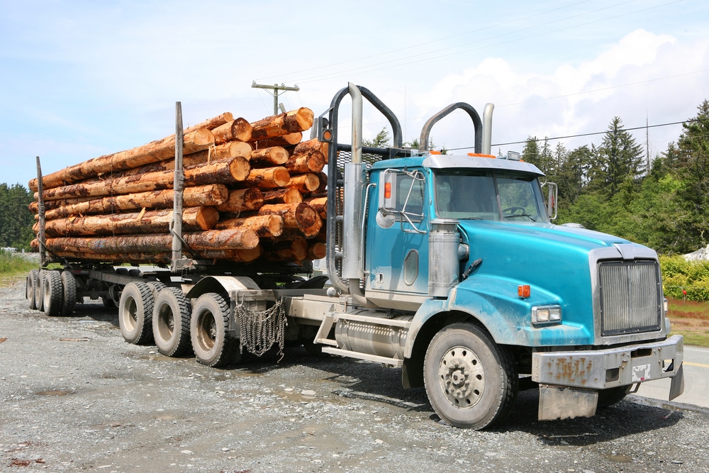 heavy loaded logging truck parking next to a coastal road
